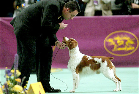 Jester & Clint at Westminster